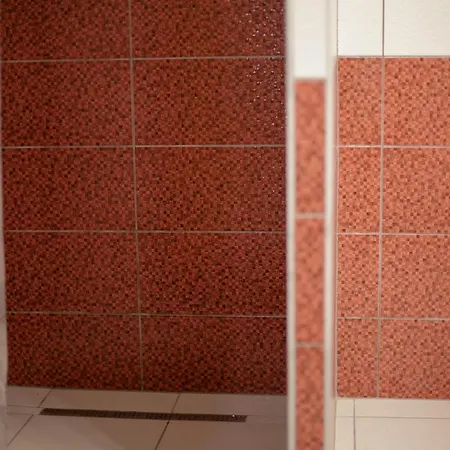 عائشة وفاتح شقة