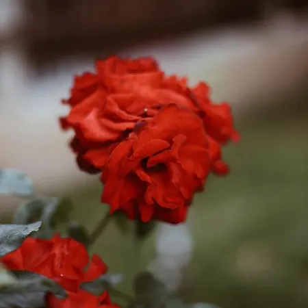 شقة عائشة وفاتح *