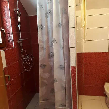 عائشة وفاتح شقة *